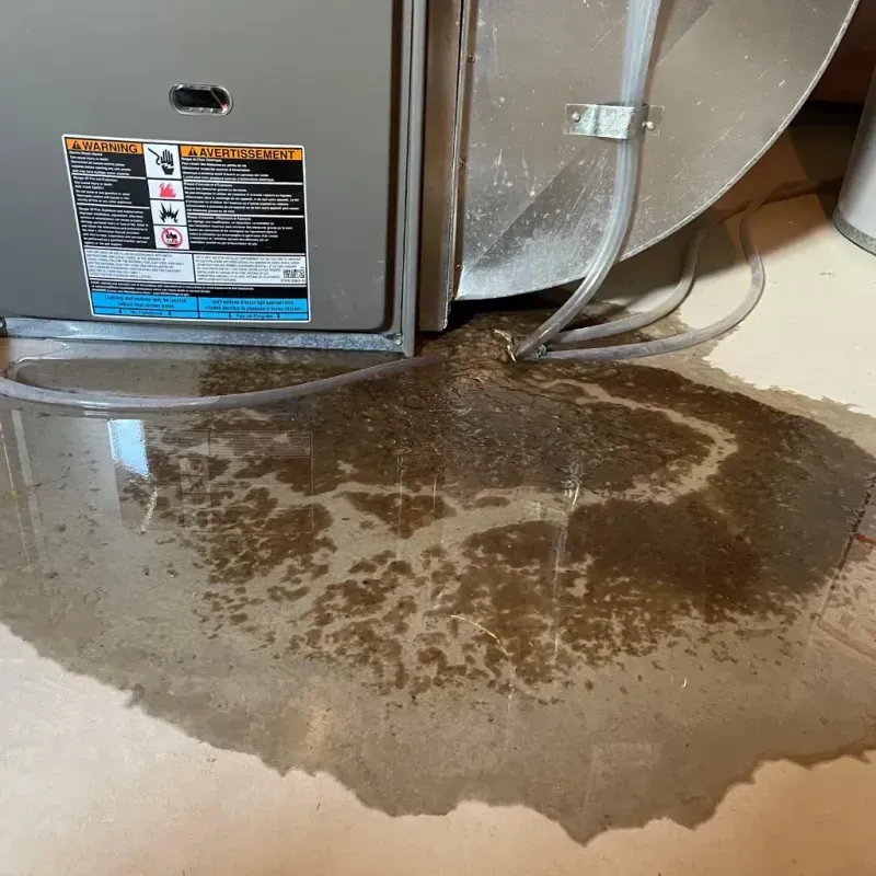 Appliance Leak Cleanup in West Concord, MA